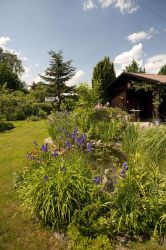 fuchsholz08 fuchsholz08